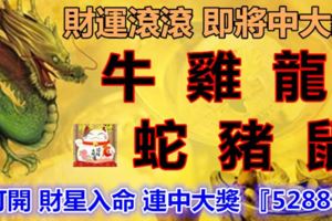 財源滾滾即將中大獎，牛雞龍蛇豬鼠，打開財星入命連中大獎『52888』