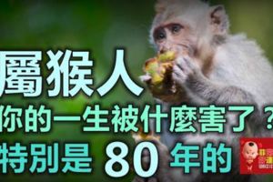 屬猴人：你的一生被什麼害了？特別是80年的，現在知道還不晚！