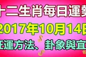 獨家十二生肖每日運勢2017年10月14日；旺運方法、卦象與宜忌
