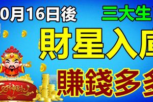10月16日後財星入庫，賺錢多多的三大生肖！