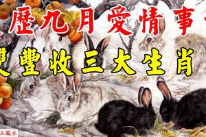 農歷九月愛情事業雙豐收三生肖！
