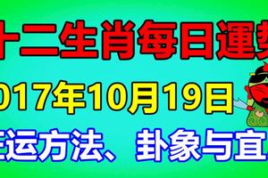 十二生肖每日運勢2017年10月19日；旺運方法、卦象與宜忌