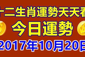 十二生肖運勢天天看，今日運勢：10月20日