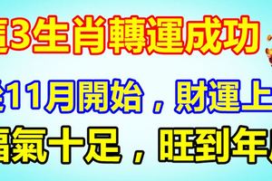 這3生肖轉運成功，從11月開始，財運上等，福氣十足，旺到年底