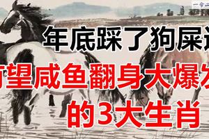 年底踩了狗屎運，迎來大橫運，有望鹹魚翻身收入大爆發的3大生肖！