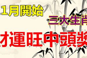 11月開始，三大生肖，財運旺中頭獎！有您嗎？