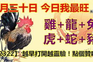 十月三十日，今日我最旺！雞+龍+兔+虎+蛇+豬！【82322】越早打開越靈驗！點個贊吧！