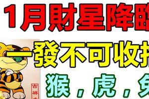 11月財星降臨，這幾個生肖一發不可收拾！