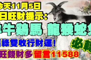 今天11月5日,每日旺財提示：羊牛雞馬，龍猴蛇兔。福祿雙收行財運！財旺錢財多留言11588必轉！