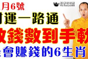 11月6號開始，財運一路通，數錢數到手軟，本月最會賺錢的6生肖