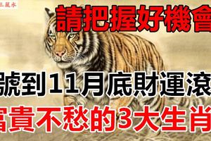 7號到11月底財運滾滾來，不出20天能成為富翁，富貴不愁的3大生肖！請把握好機會！