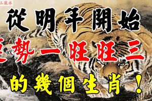 從明年開始，運勢一旺旺三年的幾個生肖！