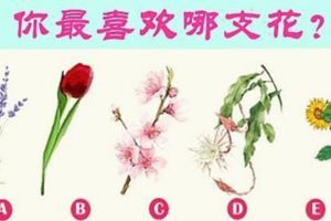 愛情測試：選一支喜歡的花，測你會被哪種男人征服
