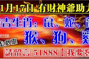 百年不遇！11月18.19.20日註定被橫財砸中頭，因橫財而暴富4生肖