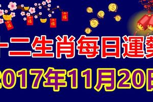 獨家十二生肖每日運勢2017年11月20日；旺運食物幸運顏色卦象宜忌