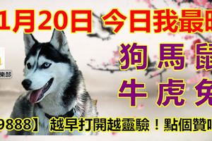 11月20日，今日我最旺！狗馬鼠牛虎兔！【69888】越早打開越靈驗！點個贊吧！