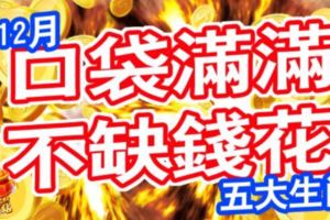 12月，口袋滿滿，不缺錢花的五大生肖