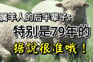 屬羊人的後半輩子：特別是79年的，據說很准哦！