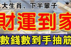 財運到家，下半輩子數錢數到手抽筋的五大生肖