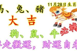 11月28日生肖運勢_馬、兔、豬大吉！狗、鼠、牛必轉！轉走黴運，財運自來！