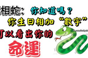 屬相蛇：你生日相加的「數位」可以看出你的命運，你知道嗎？