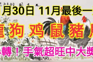 11月30日，11月的最後一天！屬龍、狗、雞、鼠、豬、馬的人必轉！手氣超旺中大獎！