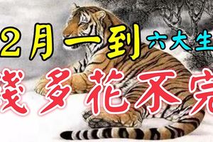 這6大生肖，12月一到，錢多的花不完！