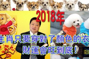 2018年12生肖只要穿對了顏色的衣服，財運會旺到底！