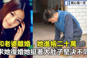 剛和老婆離婚，她進帳二十萬，我求她復婚她挺著大肚子堅決不同意