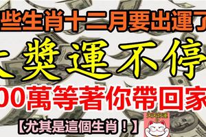 這些生肖2018年十二月要出運了！大獎運不停！500萬等著你帶回家！【尤其是這個生肖！】