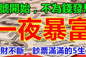 7號開始，不為錢發愁，橫財不斷，鈔票滿滿，必一夜暴富的5大生肖