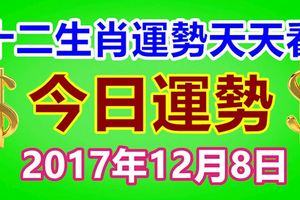 十二生肖運勢天天看，今日運勢：12月8日