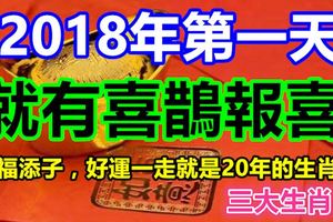 2018年第一天就有喜鵲報喜，添福添子，好運一走就是20年的生肖！