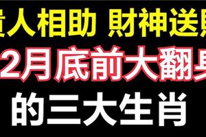 貴人相助，財神送財，福星高照，12月底前大翻身的三大生肖