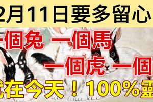 12月11日要多留心了！一個兔，一個馬，一個虎，一個龍！就在今天！