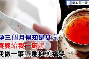 懷孕三個月得知是女兒，婆婆給我一碗湯，我做一事讓她抱頭痛哭