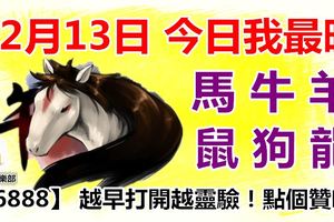 12月13日，今日我最旺！馬牛羊鼠狗龍！【36888】越早打開越靈驗！點個贊吧！