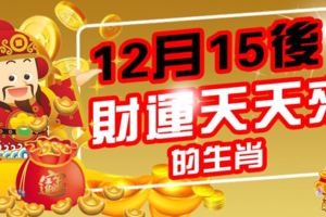 12月15後，財運天天來的生肖