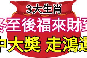 冬至節後福來財到，運勢如虎添翼，中大獎走鴻運的生肖！