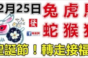 12月25日生肖運勢_兔、虎、馬大吉