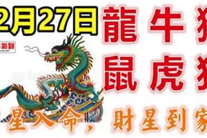 12月27日生肖運勢_龍、牛、猴大吉