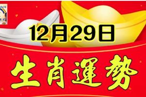 12月29號十二生肖走向分析，年底財運大爆發，小心小人算計