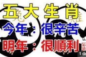 五大生肖今年很辛苦，明年很順利