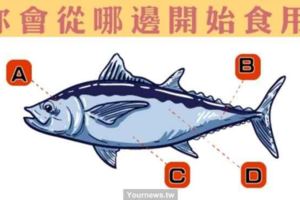 【心理測驗】你吃魚都從哪邊開始吃？測你的用錢態度！