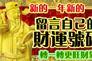 新的一年新的一天，留言自己的財運號碼！轉一轉更旺財氣！