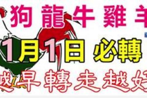 1月1日元旦！請為屬狗、龍、牛、雞、羊的人轉發！祈求平安！