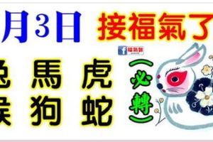 1月3日生肖運勢_兔、馬、猴大吉