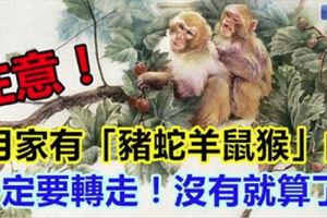 1月份家裡有「豬蛇羊鼠猴」的人，一定要轉走！沒有就算了。