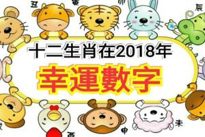十二生肖在2018年的幸運數字和運勢如何？