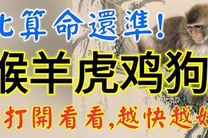 比算命還准！今天1月11號，送給這5個生肖，快打開看看，越快越好！
